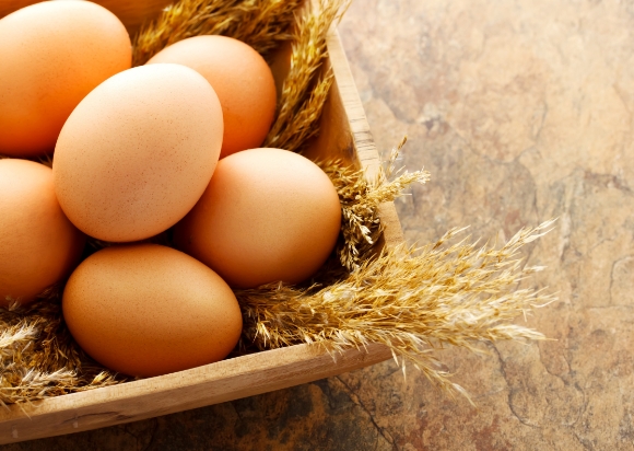 Egg quality sorting production